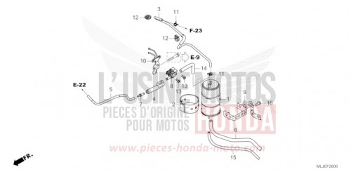 CUVETTE GL1800DAR de 2024